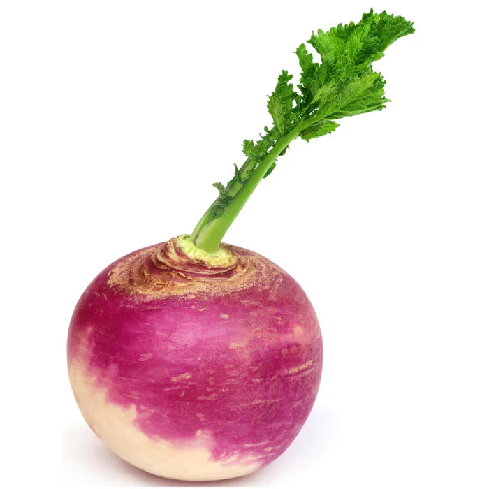 Mild slightly sweet root vegetables ideal for winter pickles.