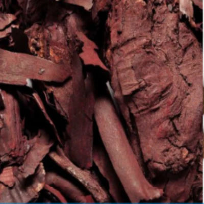 Alkanet Root (Ratanjot)