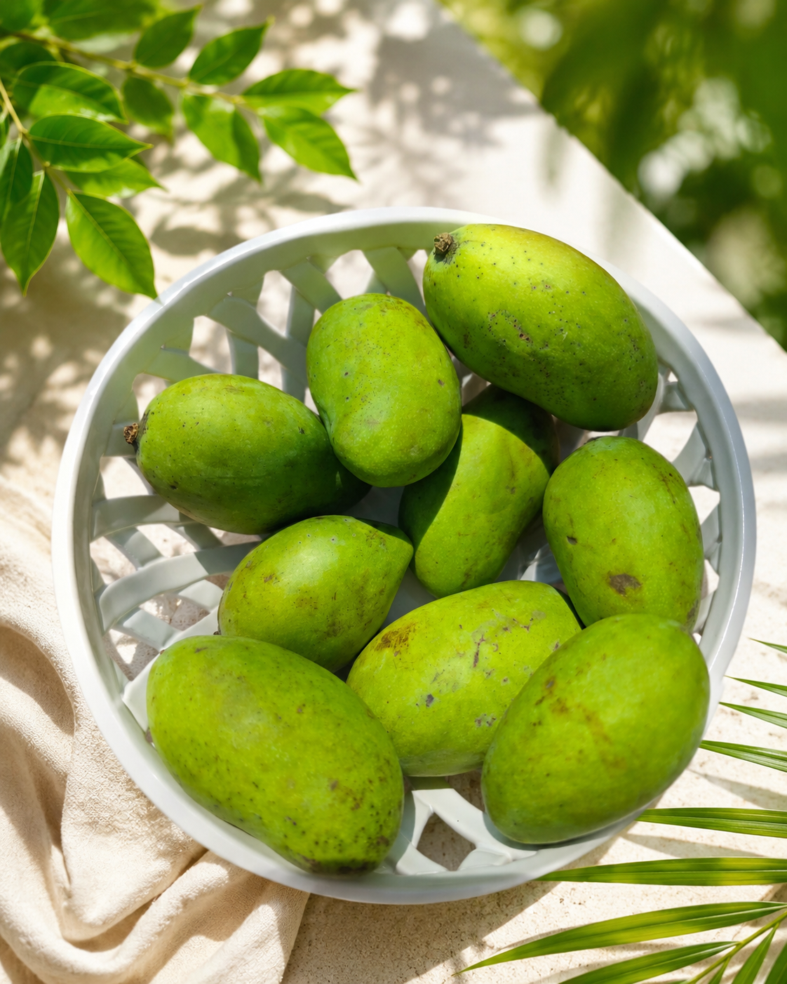 basket of mangoes under the sun