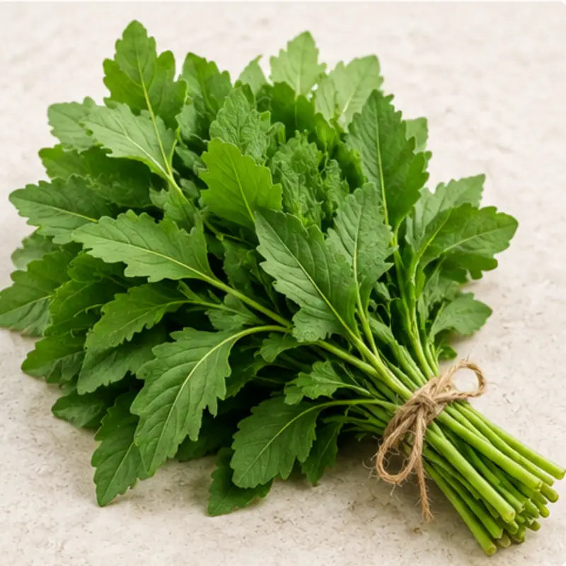 A small bunch of fresh green leafy herbs tied with natural twine, photographed on a light neutral surface.