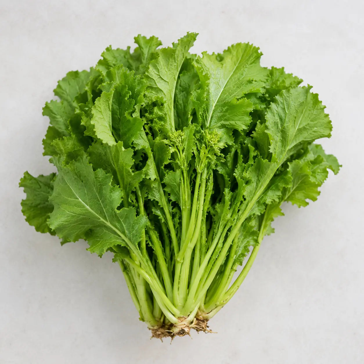Fresh mustard greens bundled together on a clean light background.