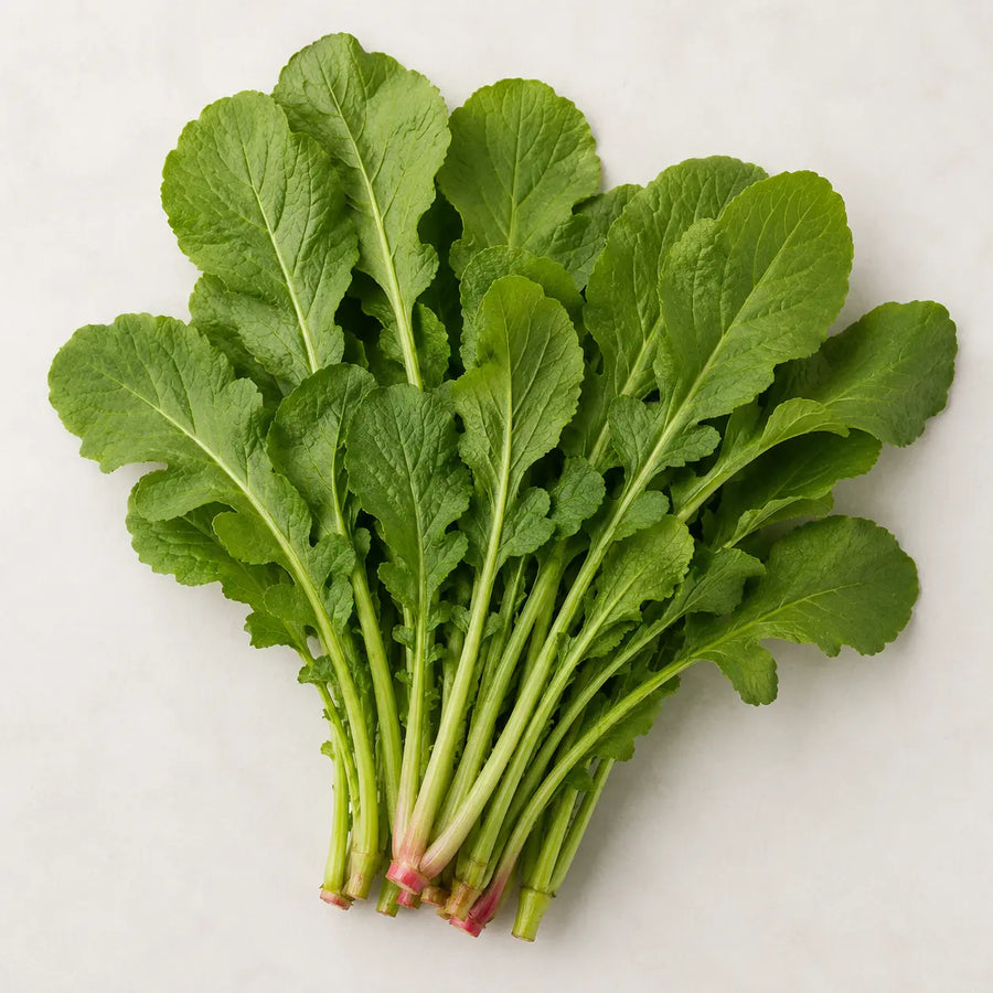 Fresh radish leaves bundled with stems on a plain light background.