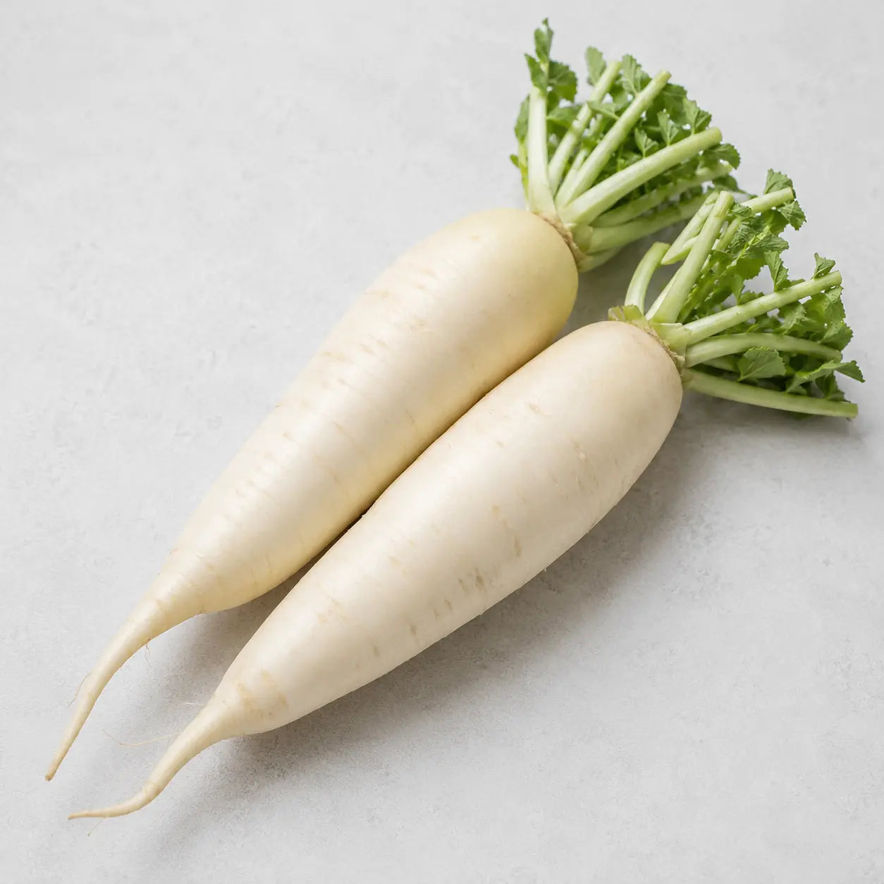 Two fresh white radishes with leafy tops on a clean light background.